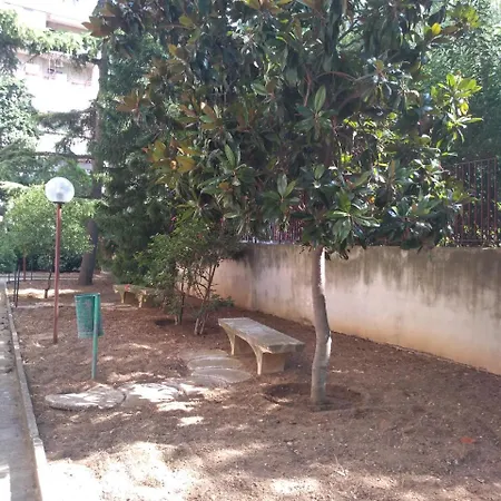 Tanzi 3*